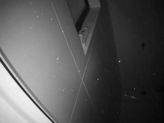voyeurcam casa salsa bathroom 13